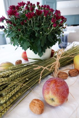 Brunchtanz 2025 in Solothurn