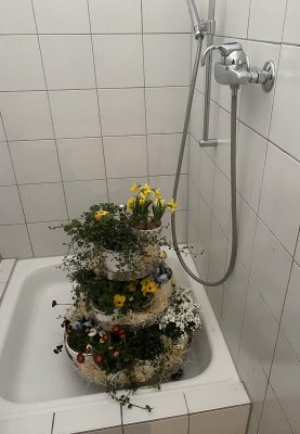 Frühlingsball vom 18. März 2023