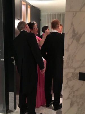 Wiener Bälle 2017