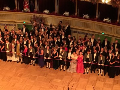 Wiener Bälle 2017