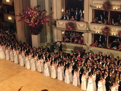 Wiener Bälle 2017