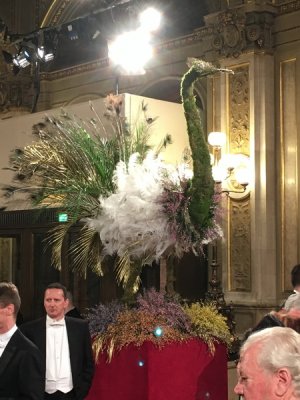 Wiener Bälle 2017