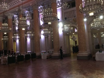 Wiener Bälle 2017