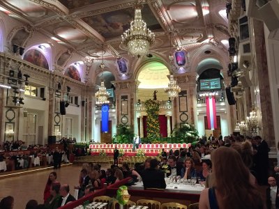 Wiener Bälle 2017