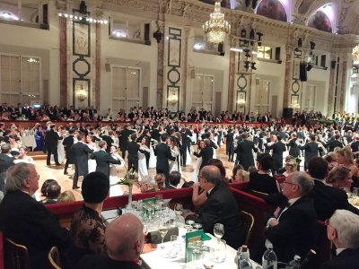 Wiener Bälle 2017