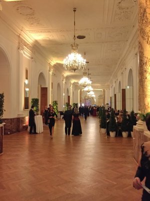 Wiener Bälle 2017